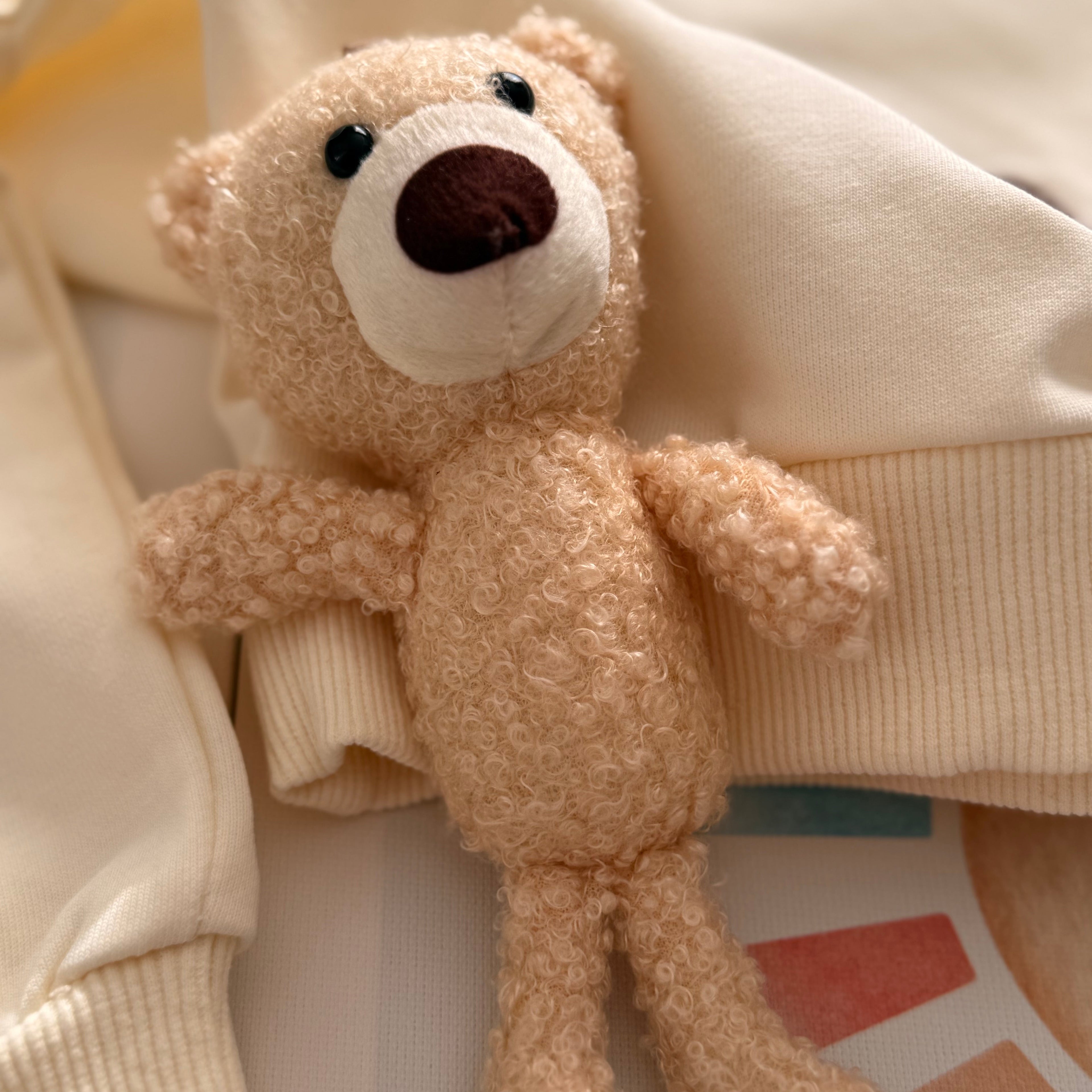 Teddy Soft Crew Sweatshirt