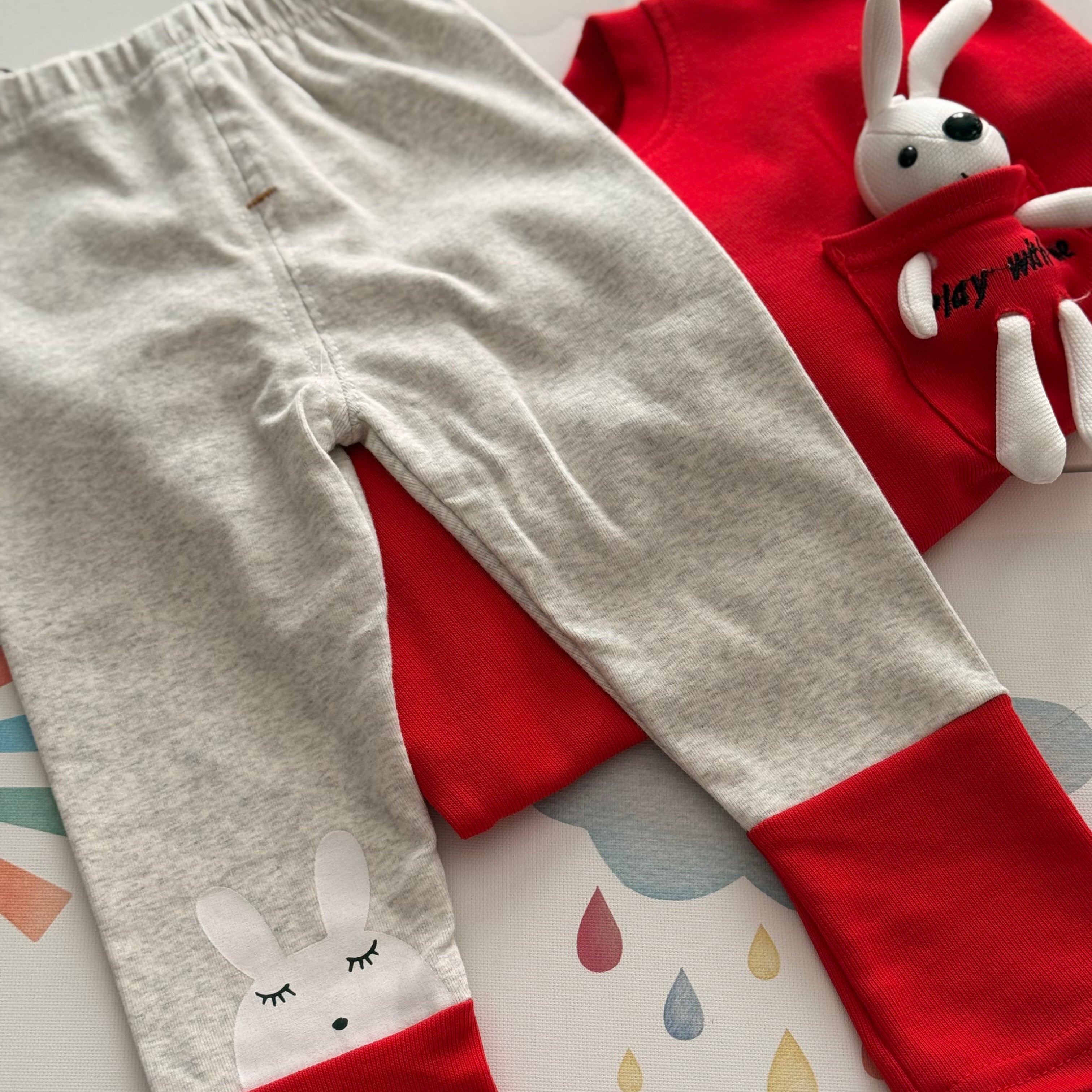 Bunny Pocket Cozy Set